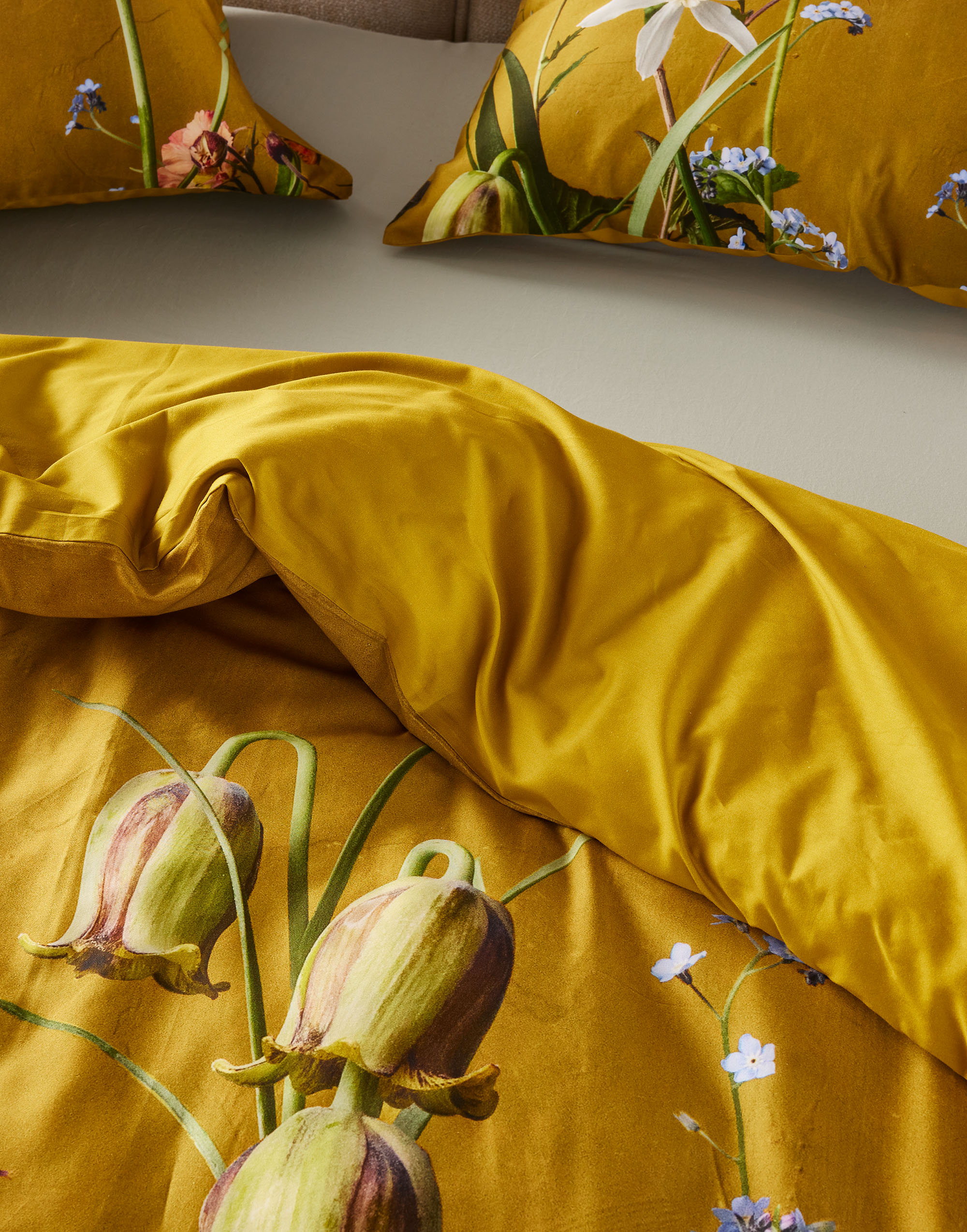 Ficaria Dekbedovertrek - Afbeelding 3