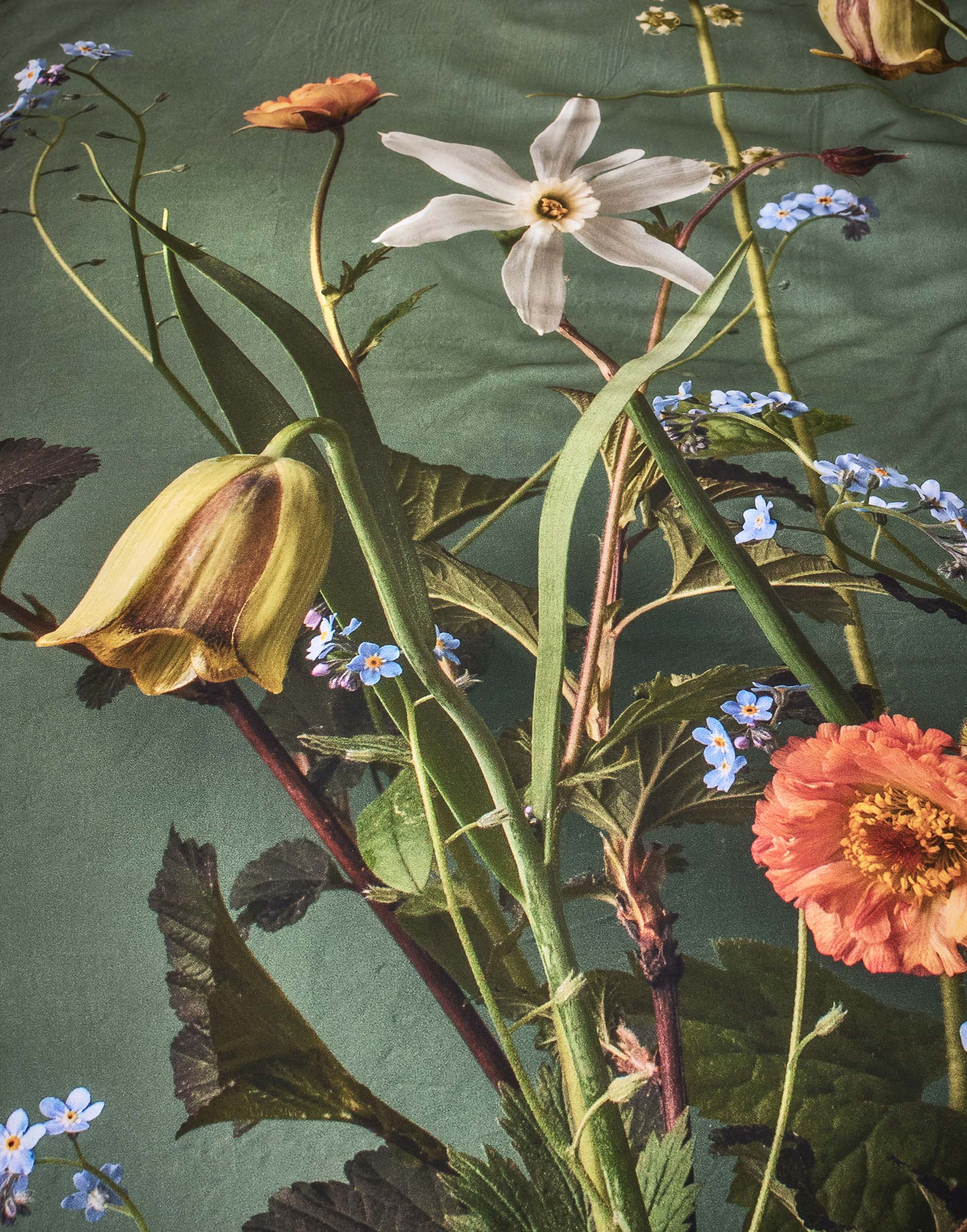 Ficaria Dekbedovertrek - Afbeelding 3