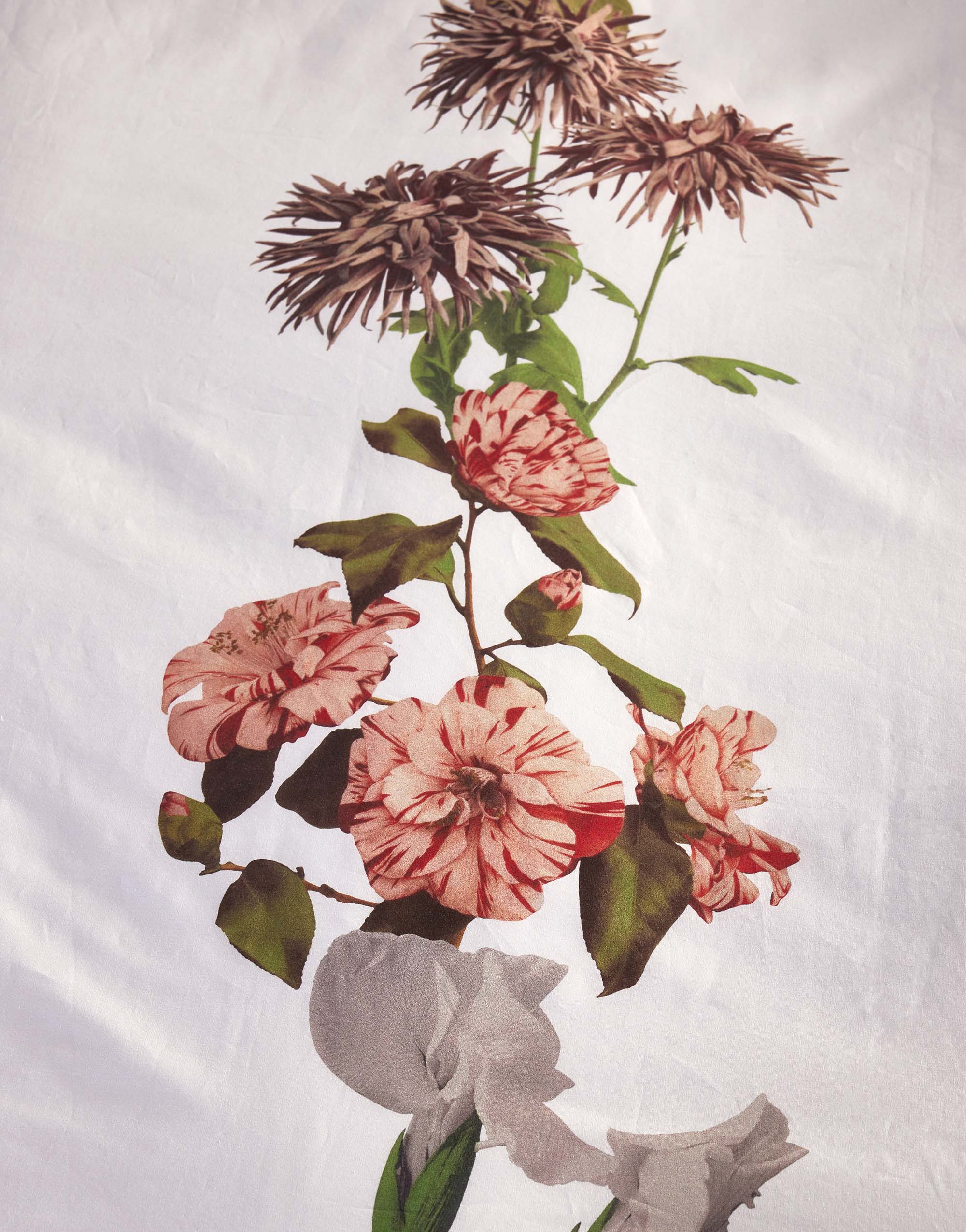 Dorena Kussensloop - Afbeelding 3